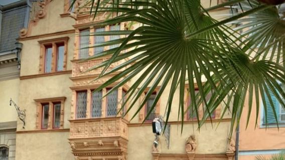 Colmar : Visite avec un guide local en direct pour découvrir les secrets de la ville