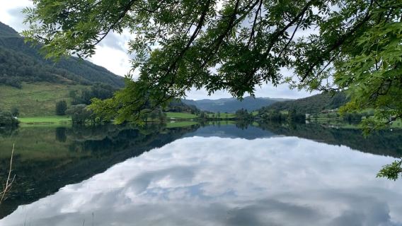 Langfoss & Stordal Lake Small-Group Tour by Discovery-Tour