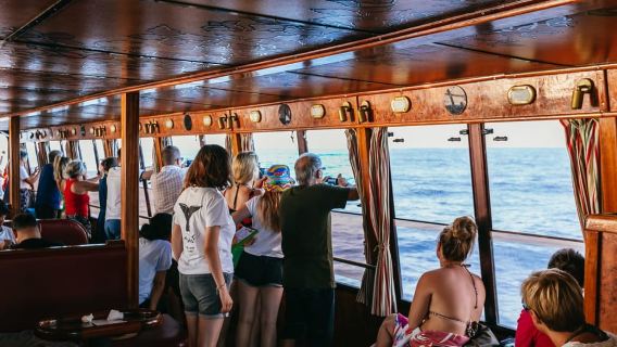 Whale & Dolphin Watching with Lunch, Swim & Underwater Views