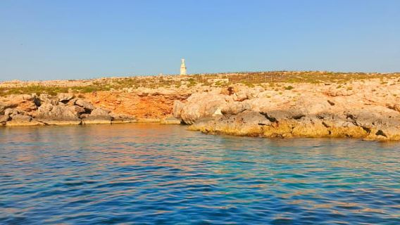 Dolphin Spotting Adventure and snorkeling St Paul's bay