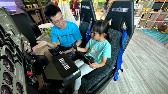 Flight Simulator Experience