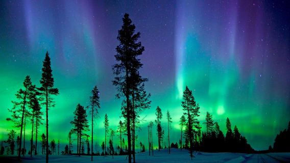 Finland Rovaniemi - Pameran Kutub - Gua Peri - Aurora - sewaan peribadi - pelancongan berkualiti