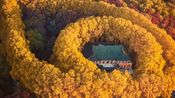牛首山文化旅遊區+中山陵景區+陵園路+美齡宮+夫子廟一日遊