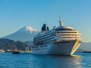 Sightseeing around Shimizu Port for cruise ship passengers