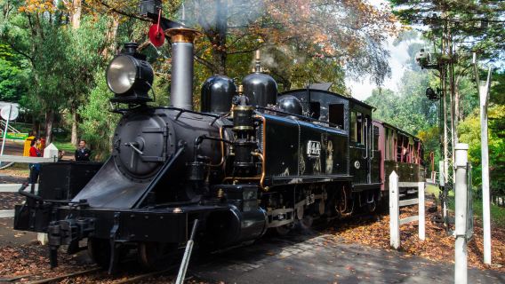 Melbourne Puffing Billy Buharlı Treni + Emerald Gölü Parkı + Healesville Koruma Alanı Günübirlik Turu