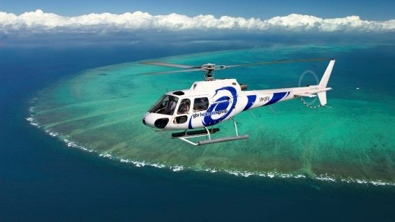 【緊急予約可】ケアンズ リーフ マジック クルーズ グレート・バリア・リーフ#公式直営|シュノーケリング&ランチ付き