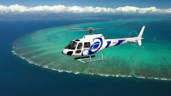 [Ordini urgenti accettati] Crociera alla Grande barriera corallina con Reef Dreaming a Cairns #Prenotazione diretta ufficiale|Include snorkeling e pranzo