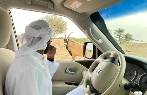 阿聯酋艾因動物園+萊茵綠洲【世界遺產中文包車+上門接送】