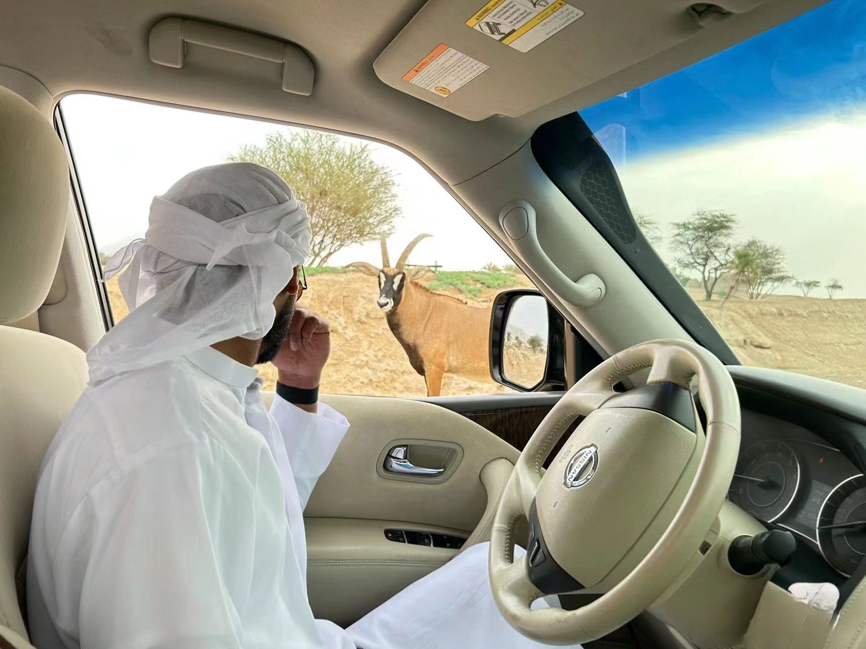 阿聯酋艾因動物園+萊茵綠洲【世界遺產中文包車+上門接駁】