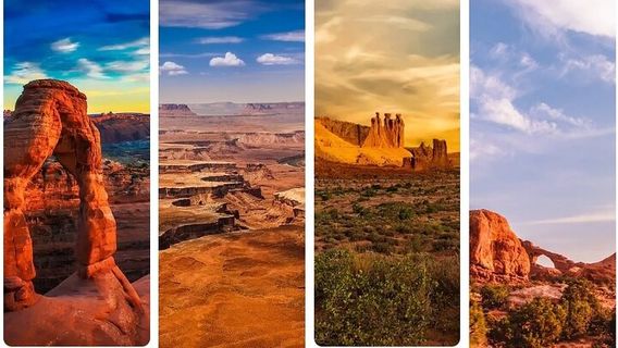MoabTours