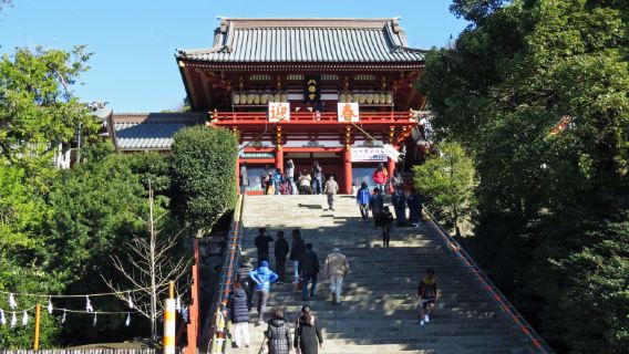 FujisawaTours