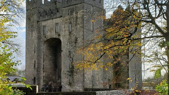 Cliffs of Moher, Bunratty Castle & Ennis Town: Day Tour from Dublin