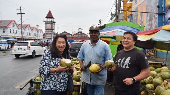 Guyana Layover Tour