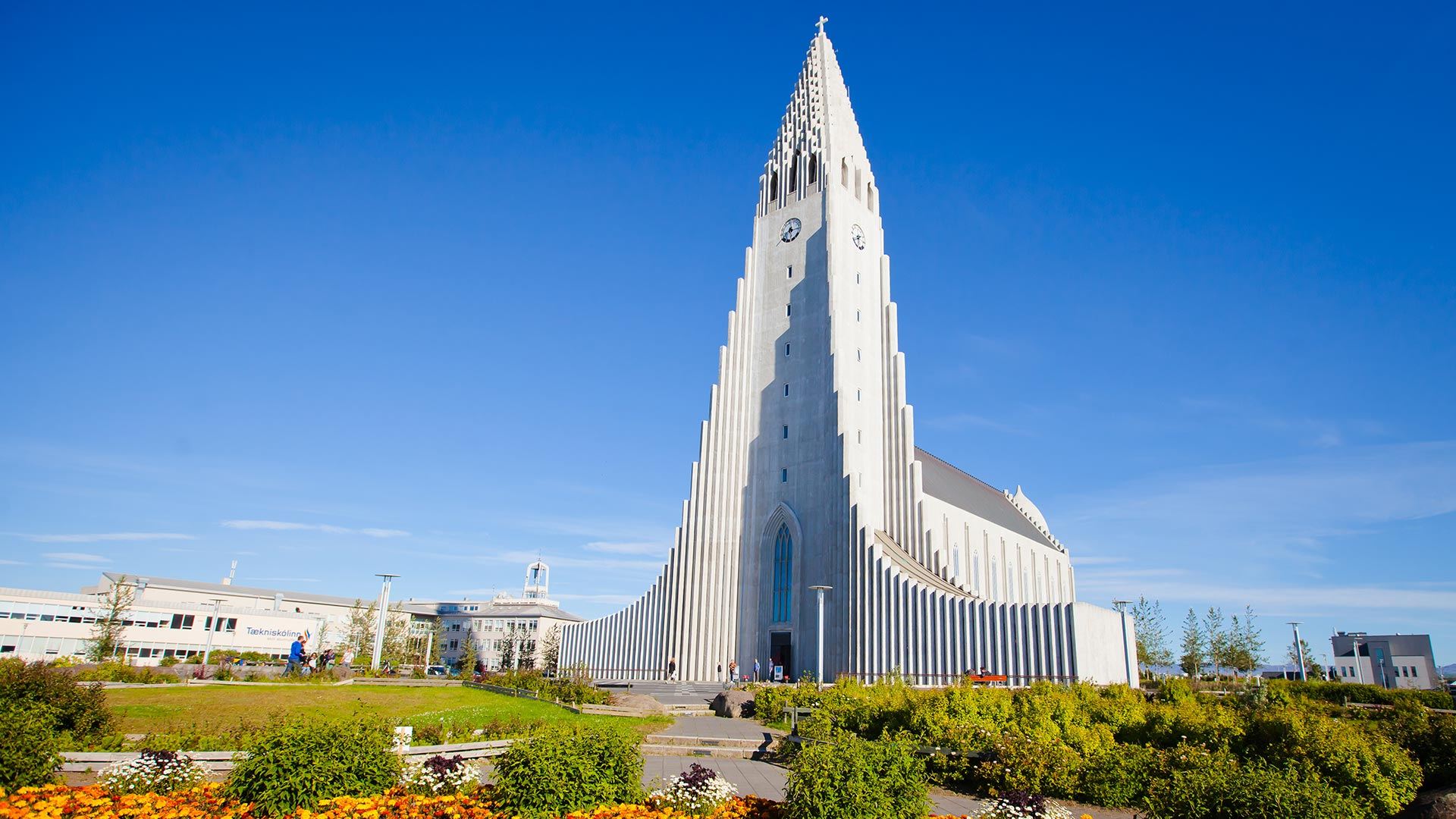 Iceland + Hallgrimskirkja + Skógafoss + Blue Lagoon day tour