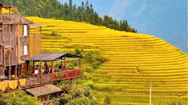 桂林龍脊梯田+金坑梯田+黃洛瑤寨一日遊：8人小團+可選私家團