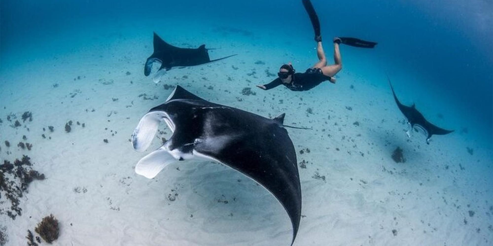 Nusa Penida: Snorkeling at 3-4 Best Spots with Underwater Photos