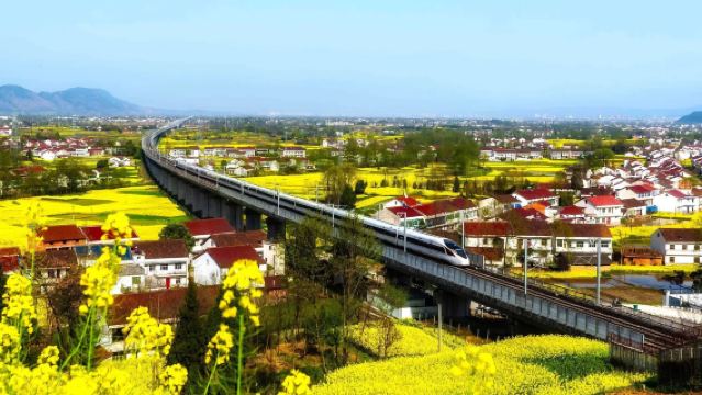 Lawatan Sehari Bunga Rape Hanzhong