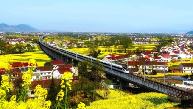 Lawatan Sehari Bunga Rape Hanzhong