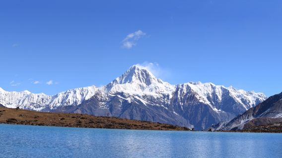 Depart from Chengdu: Hailuogou one-day tour(Glacier, Rime, Hot Spring Experience)