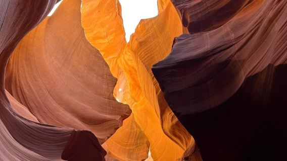 美國鳳凰城羚羊谷+馬蹄灣一日遊/行程可調-可客製化多日遊