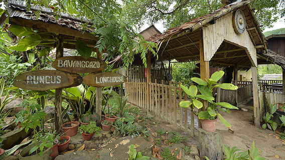 PaparTours