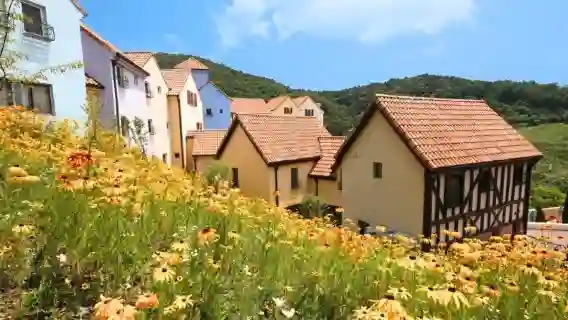  南怡島／小法蘭西/小義大利村/晨靜花園一日遊