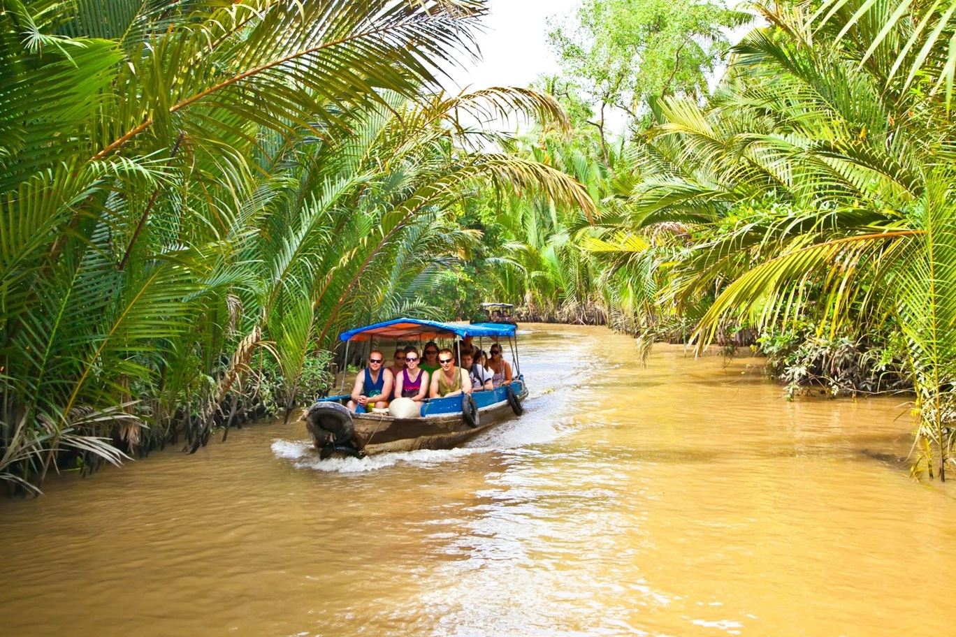 Cu Chi Tunnels and Mekong Delta Small-Group Tour with Luxury Limousine Options
