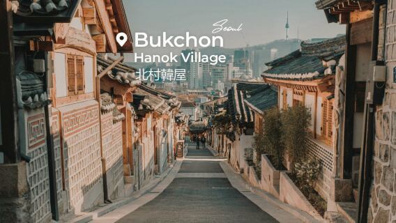 City Light and Shadow Day & Night | Gyeongbokgung Palace & Bukchon & Gwangjang Market & Naksan Park