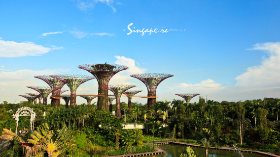 ガーデンズ・バイ・ザ・ベイ 【フラワードーム/クラウドフォレスト/スーパーツリー・グローブ/フローラ・ファンタジー/シンガポール・パス】