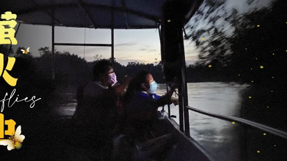 Magical Fireflies Cruise Boat Cruise Experience in Kuala Selangor