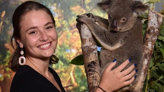 Tiket Koala dan Makhluk di tiket masuk Cairns