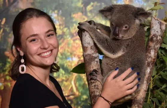 開恩茲考拉與生物門票-Cairns Koalas and Creatures at the Pier Ticket