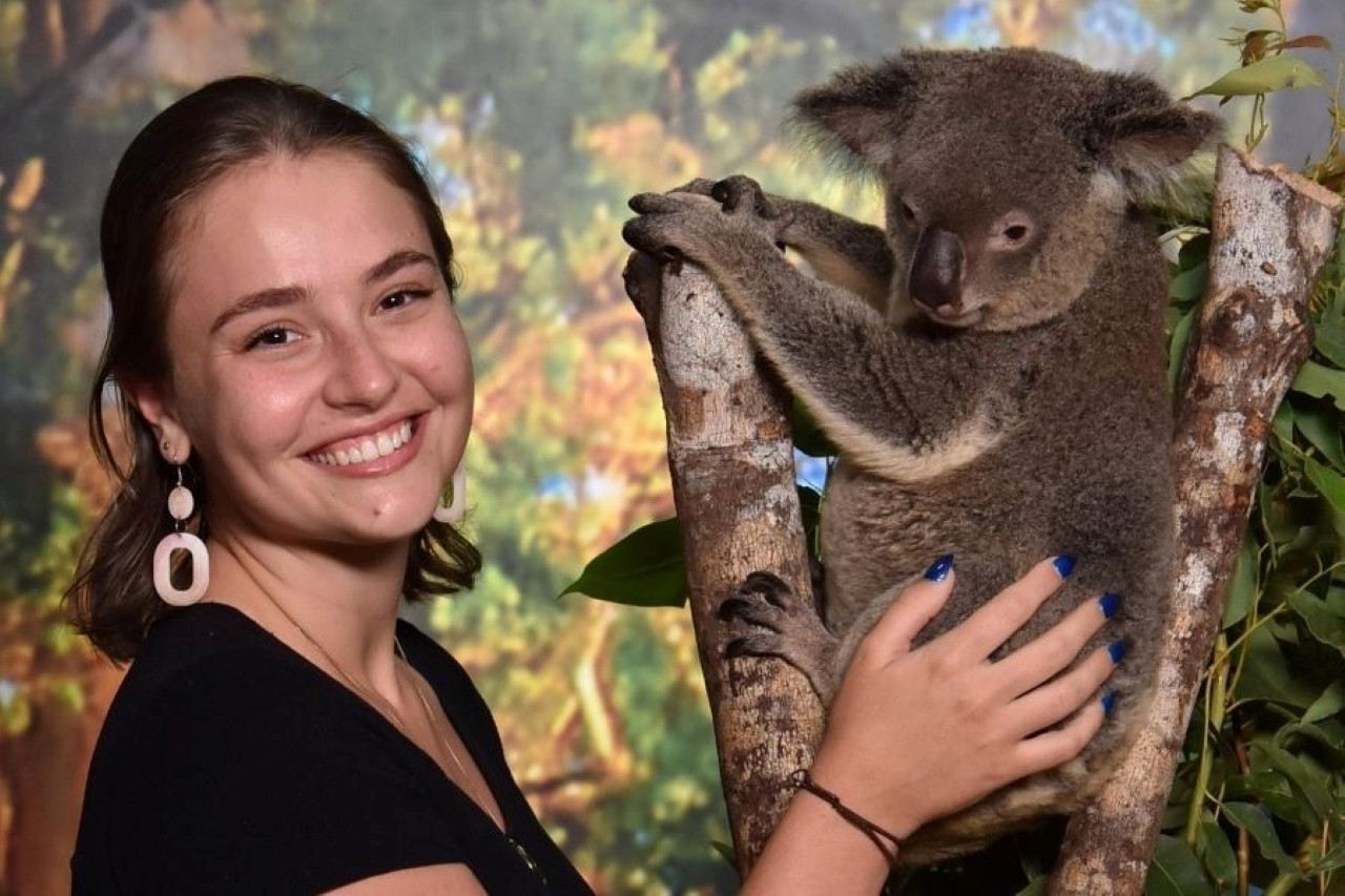 ケアンズ・コアラ＆クリーチャーズ 入場チケット
