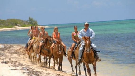 Menunggang Kuda di Pantai Grand Cayman