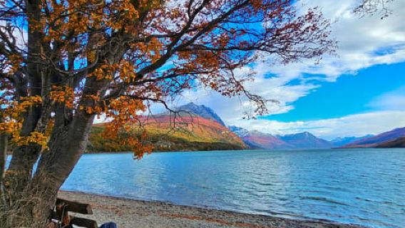 Ushuaia: escursione a terra nel Parco Nazionale Terra del Fuoco