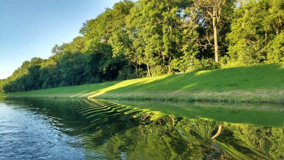 Leipzig: 2-stündige Motorboottour durch den Auwald