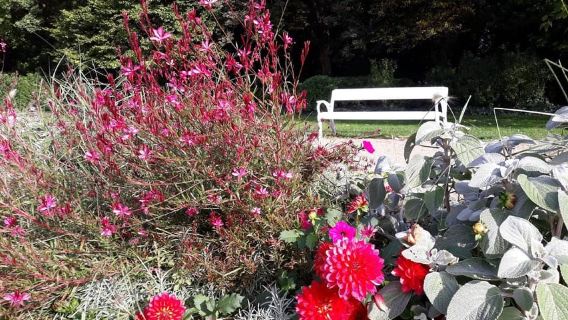 Budapest: Best Gardens Walking Tour & Folk Music Performance