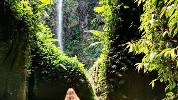 Arusha: Napuru Waterfall and Mount Meru Nature Walk
