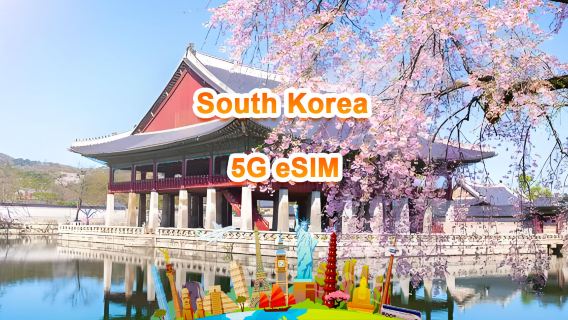 South Korea 5G eSIM | Daily package/Total package | 1-30 days | 24-hour billing | QR code