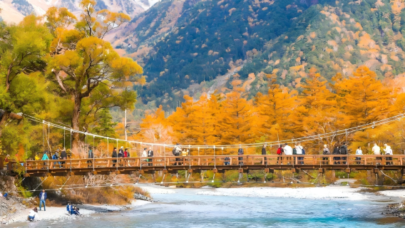 1 человек в группе | Однодневный тур с прогулкой и фотосъемкой в заповеднике Камикочи, город Уэно, Япония