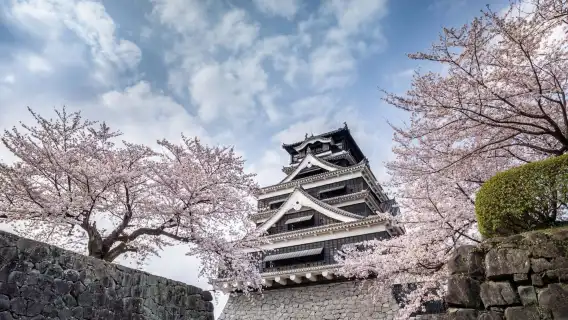 1-day tour to Kumamoto Castle, Aso Volcano, and Kusasenri in Kyushu, Japan