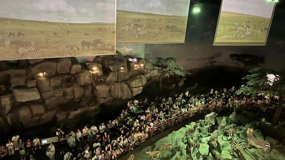 Tour clásico por Shanghái con recogida en el hotel + itinerario flexible + servicio en inglés disponible