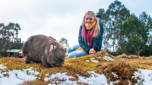 Tour núi Cradle và thị trấn tranh tường Sheffield tại Úc [Hobart - Launceston một chiều]