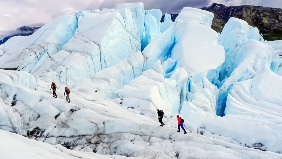 Excursion d'une journée au glacier Matanuska depuis Anchorage, en Alaska [Billet d'entrée inclus]|Casque et crampons fournis