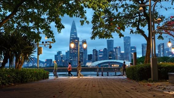 Shenzhen: Parco dei Talenti + Osservatorio Astronomico + Dapeng Fortress|Cinese, inglese e altre lingue - noleggio con conducente esclusivo personalizzato