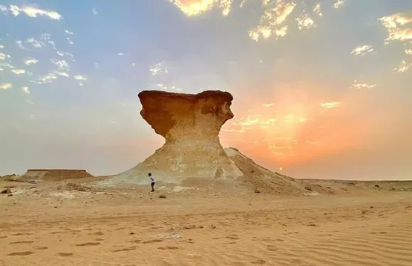 卡塔爾西岸之旅，Zekreet、Richard Serra雕塑、蘑菇岩層