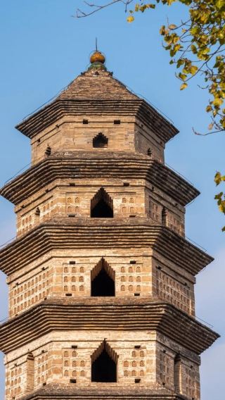 1-day tour to Jiyuan Jishui Cultural Tourism Area and Yanqing Temple Pagoda in Henan - Bilingual service available