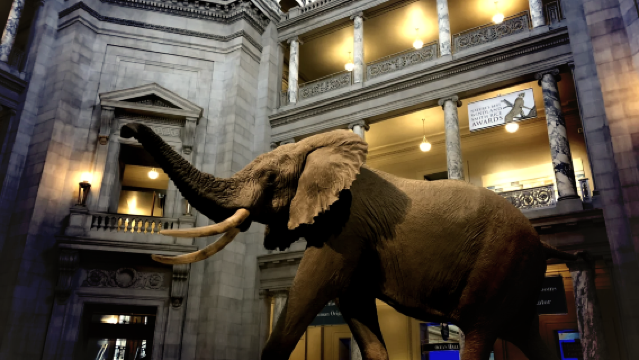 Muzium Kapal Perang Iowa + Muzium Filem Oscar + lawatan sehari ke Dunia Sihir Harry Potter