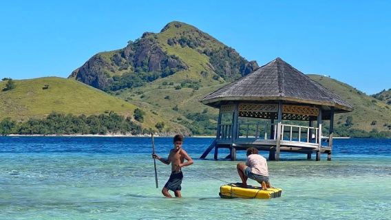 ทัวร์ 1 วัน เย็นกลับ ชายหาดทรายสีชมพู เกาะโคโมโดลองปาดาร์ ปลากระเบน จิ้งจกยักษ์
