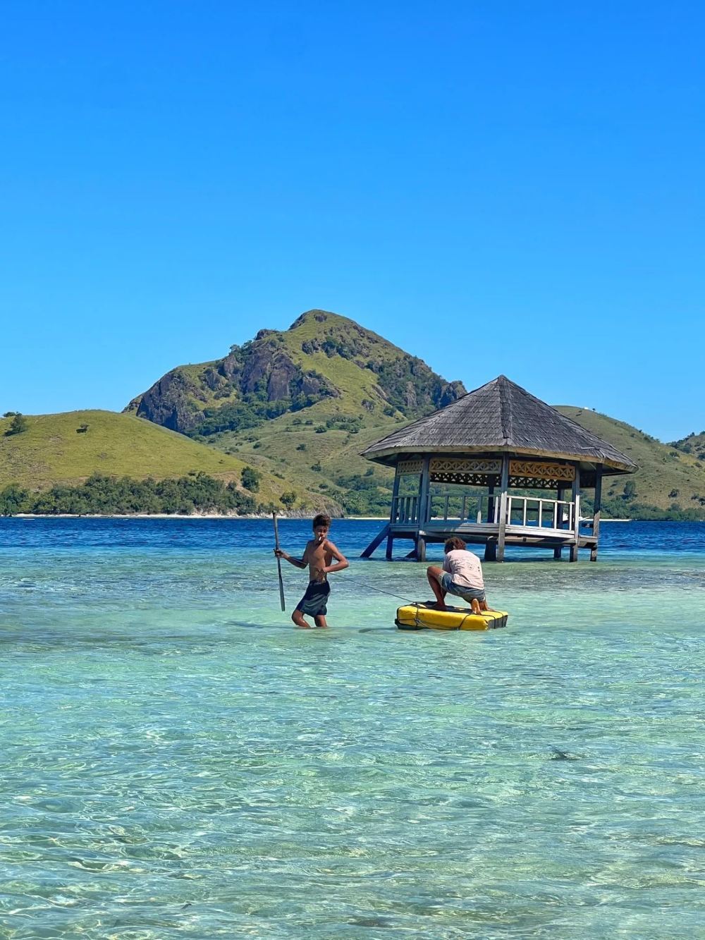 Excursión de un día en barco por la Isla Komodo: playa rosa, dragones de Komodo, isla de Padar, mantarrayas y lagartos gigantes